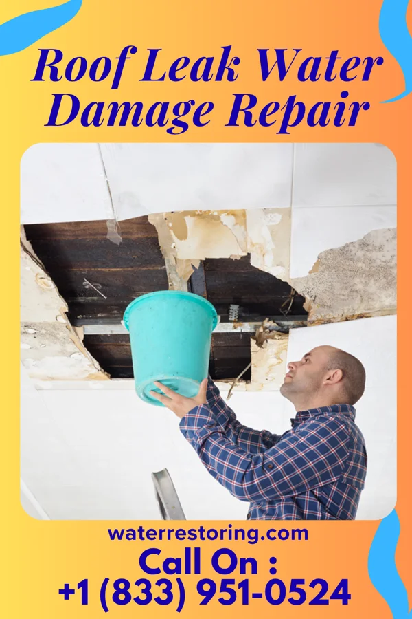 Roof Leak Water Damage Repair in Nevada, IA